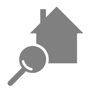 inspection-gray-300px