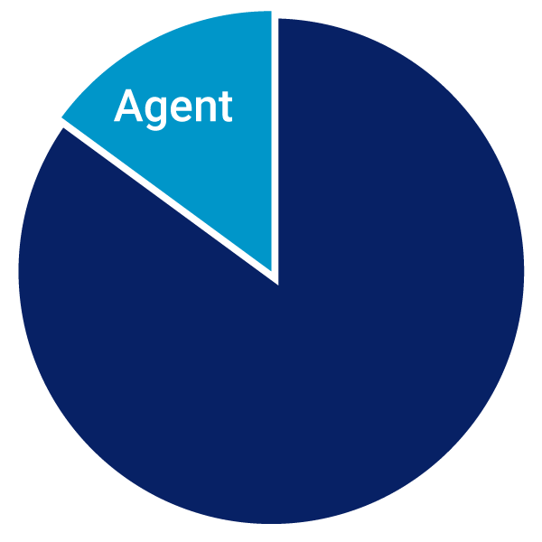 85-percent-navy-pie-chart-BOLD-V5